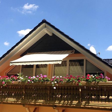 Ferienwohnung Am Eichenberg Blankenburg  Exteriér fotografie